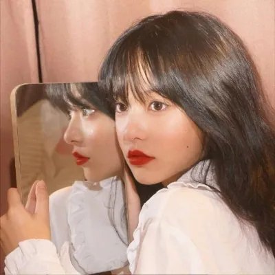野兔子普查