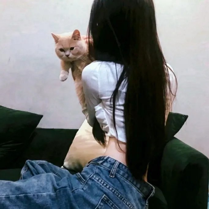 圣诉